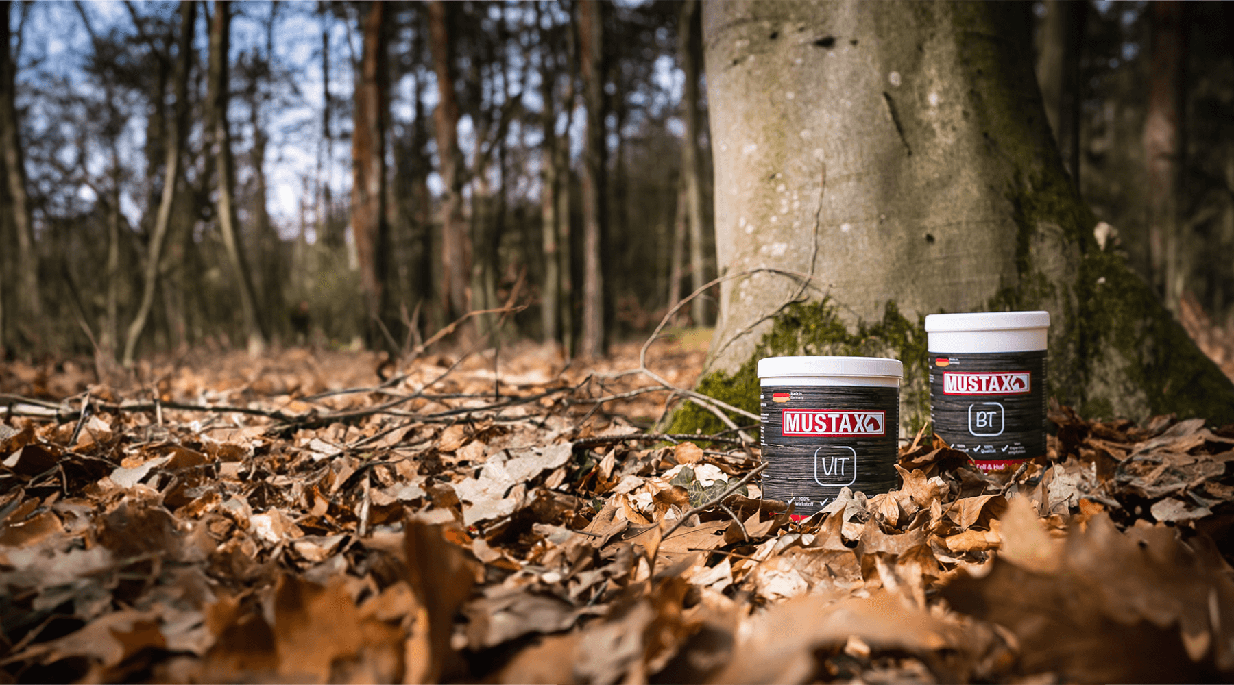 MUSTAX Fellwechselkur, MUSTAX BT, MUSTAX VIT, Vitamine Pferde, Biotin Pferd, Pferd Fellwechsel, Pferd Kur