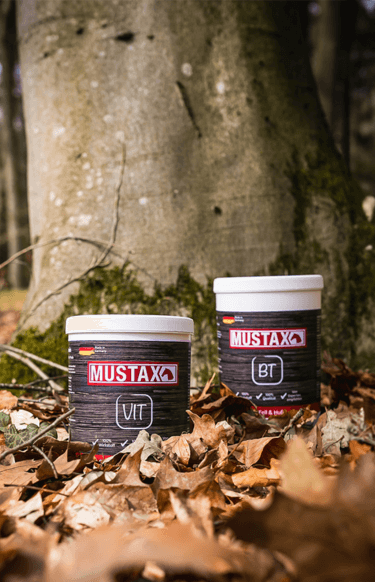 MUSTAX Fellwechselkur, MUSTAX BT, MUSTAX VIT, Vitamine Pferde, Biotin Pferd, Pferd Fellwechsel, Pferd Kur